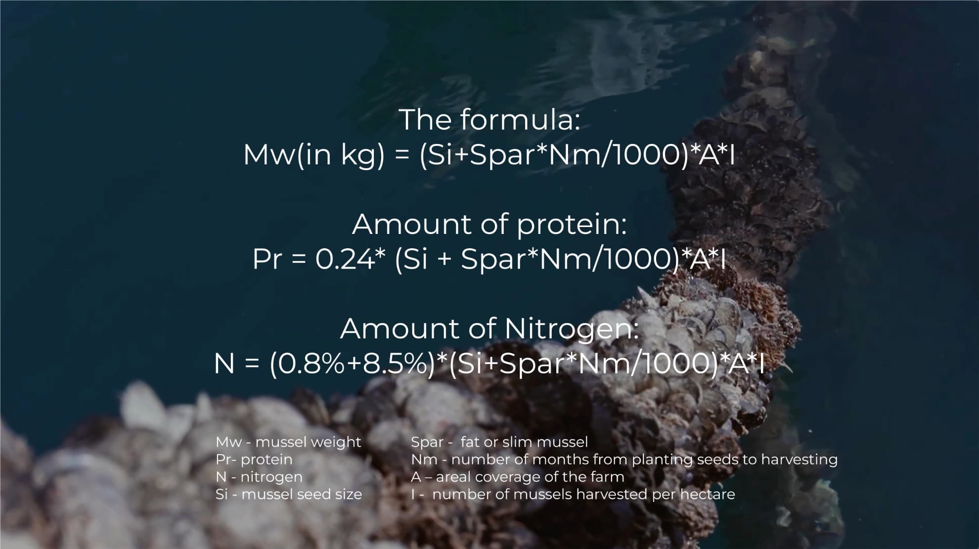 The Mussel ID Formula